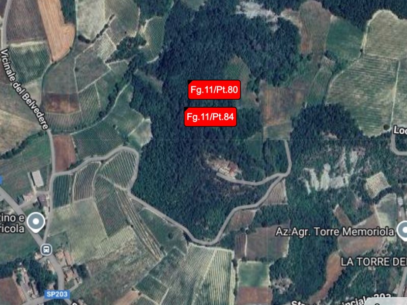 Terreno agricolo in Vendita a Borgoratto Mormorolo, 1'126€, 2183 m²