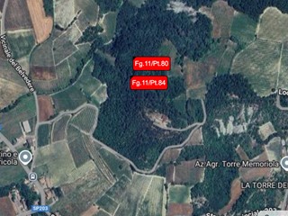 Terreno agricolo in Vendita a Borgoratto Mormorolo, 1'126€, 2183 m²