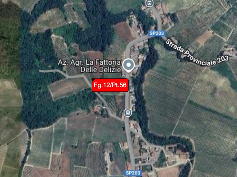 Terreno agricolo in Vendita a Borgoratto Mormorolo, 1'500€, 872 m²