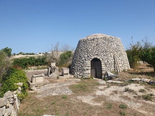 Terreno agricolo in Vendita a Zollino, 33'000€, 5419 m²