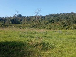 Terreno agricolo in Vendita a Aprilia, 249'000€, 80000 m²