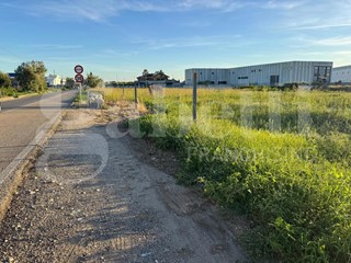 Terreno agricolo in Vendita a Vitulazio, 220'000€, 4000 m²