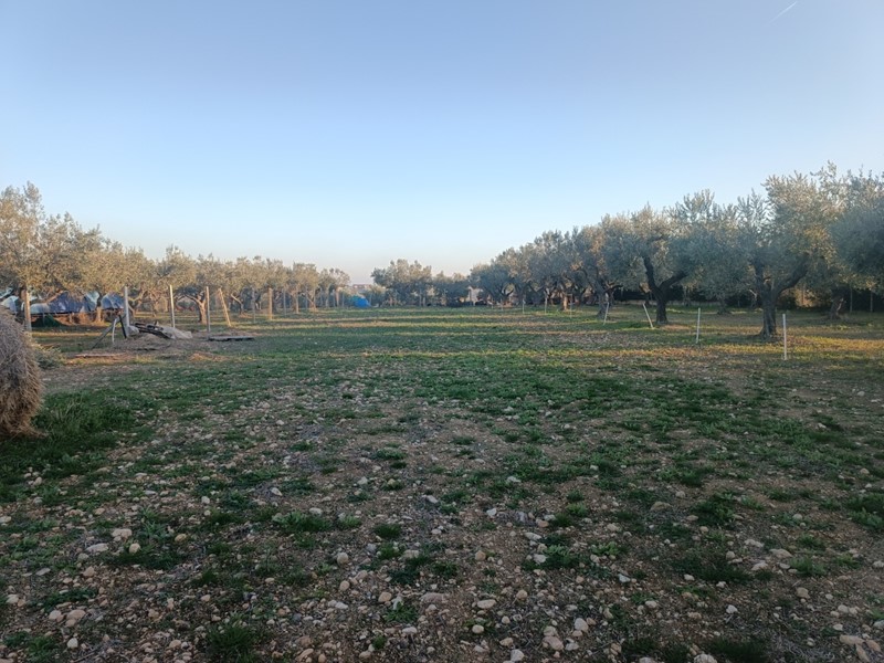 Terreno edificabile in Vendita a Treglio, 70'000€, 2450 m²