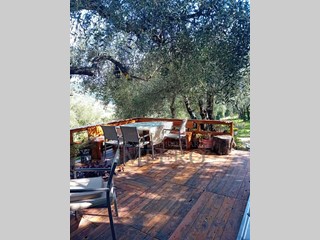 Terreno agricolo in Vendita a Ventimiglia, zona Due Camini, 90'000€, 1811 m²