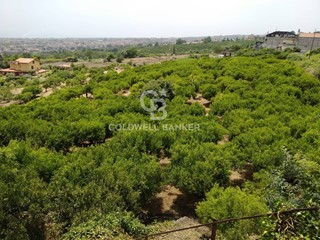 Terreno agricolo in Vendita a Mascali, 69'000€, 8807 m²
