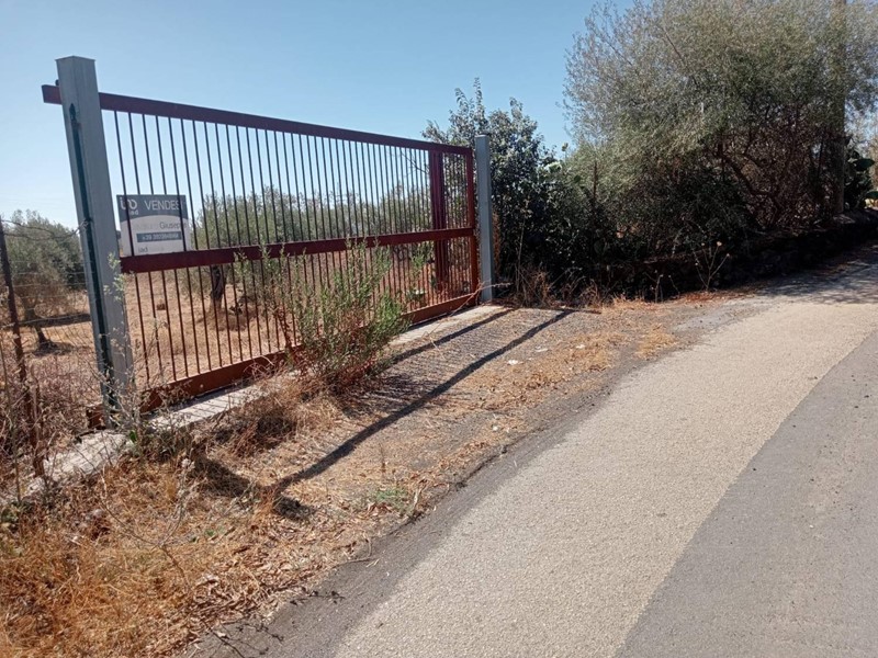 Terreno agricolo in Vendita a Belpasso, 65'000€, 12000 m²