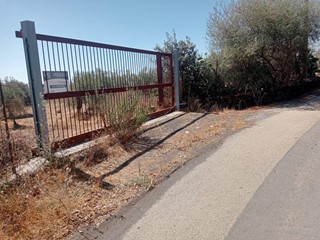 Terreno agricolo in Vendita a Belpasso, 65'000€, 12000 m²