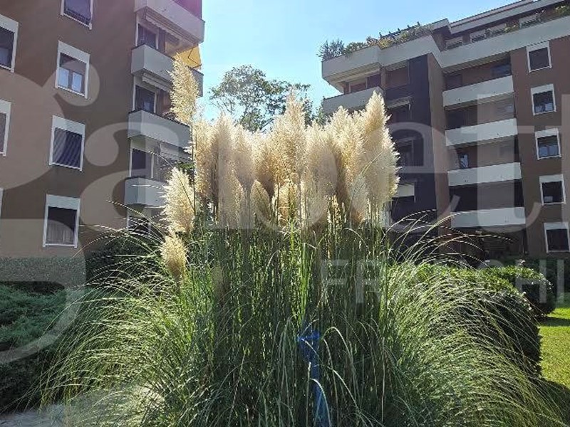 Trilocale in Vendita a Sesto San Giovanni, 359'000€, 115 m², arredato