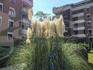 Trilocale in Vendita a Sesto San Giovanni, 359'000€, 115 m², arredato