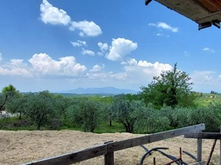 Villa in Vendita a Terricciola, zona Soianella, 399'000€, 200 m²