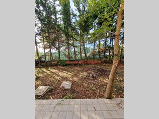 Appartamento in Vendita a Livorno, zona porta a terra, 175'000€, 150 m²