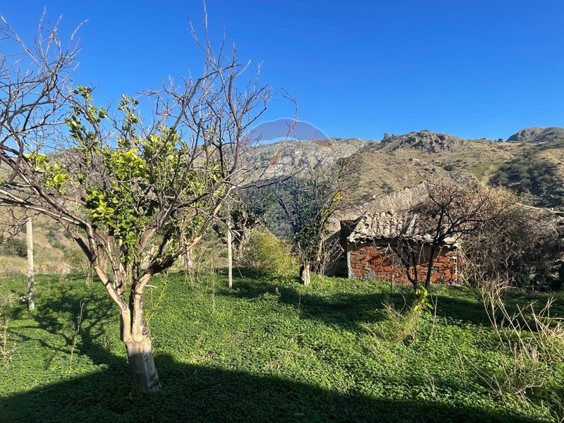 Terreno agricolo in Vendita a Castelmola, 140'000€, 60000 m²