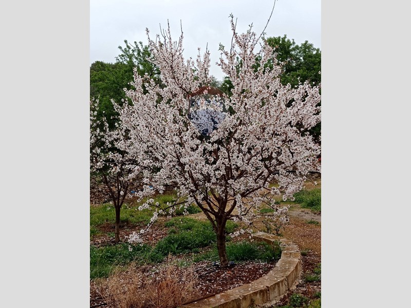 Terreno agricolo in Vendita a Floridia, 65'000€, 10153 m²