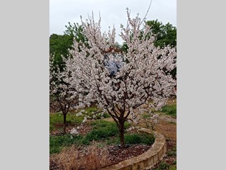 Terreno agricolo in Vendita a Floridia, 65'000€, 10153 m²