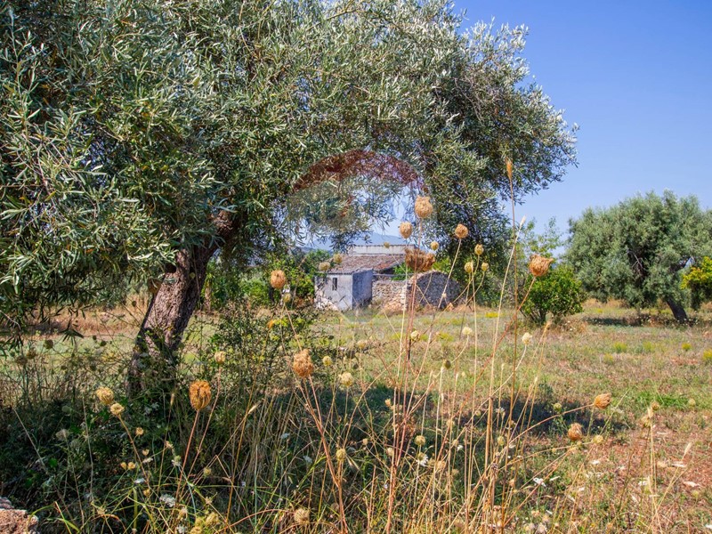 Terreno agricolo in Vendita a Noto, 135'000€, 16000 m²