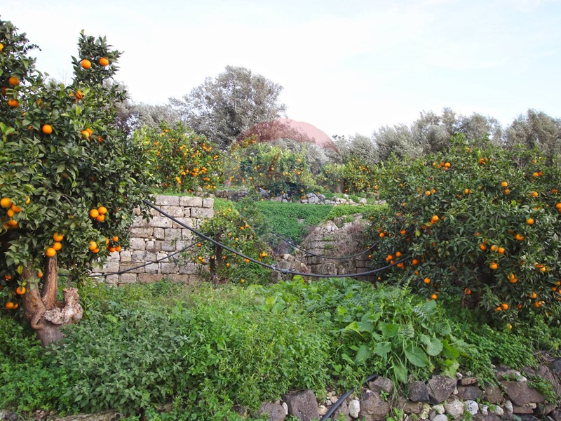 Terreno agricolo in Vendita a Augusta, 190'000€, 30000 m²