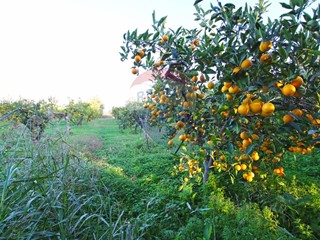 Terreno agricolo in Vendita a Augusta, 190'000€, 30000 m²