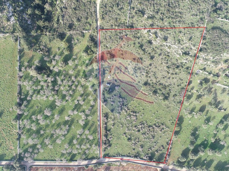 Terreno agricolo in Vendita a Noto, 35'000€, 21009 m²
