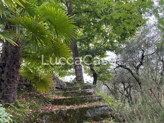 Casale in Vendita a Borgo a Mozzano, zona Cerreto, 29'500&euro;, 31 m²