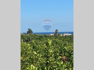 Terreno agricolo in Vendita a Acireale, 13'000€, 1160 m²