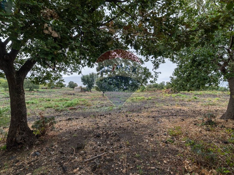 Terreno agricolo in Vendita a Randazzo, 500'000€, 62000 m²