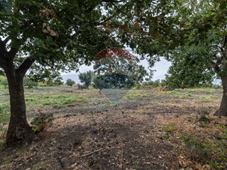 Terreno agricolo in Vendita a Randazzo, 500'000€, 62000 m²