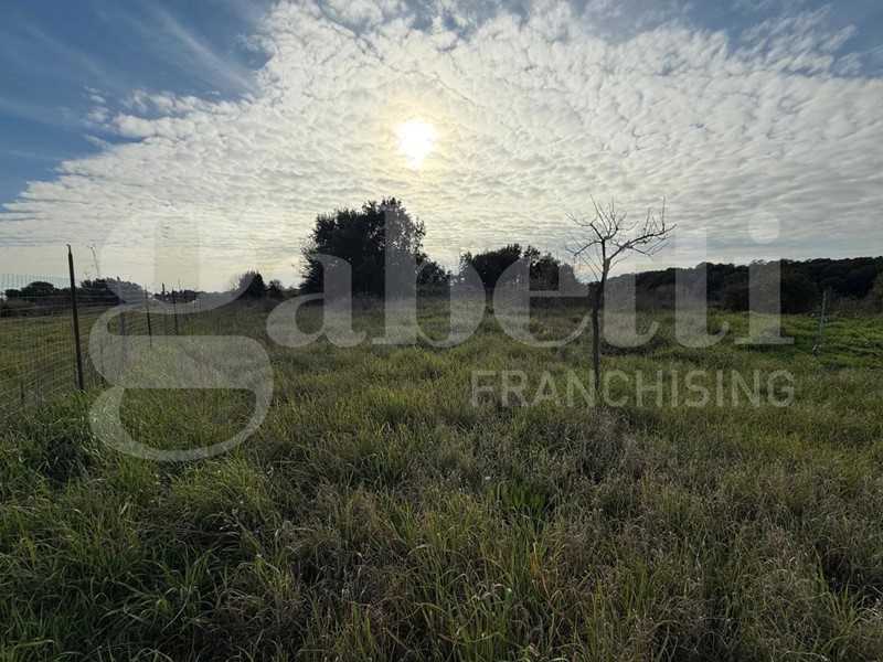 Terreno agricolo in Vendita a Nettuno, 35'000€, 3290 m²