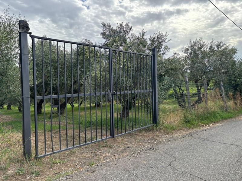Terreno agricolo in Vendita a Frascati, 88'000&euro;, 4943 m²