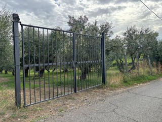 Terreno agricolo in Vendita a Frascati, 88'000&euro;, 4943 m²