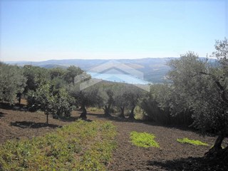 Terreno edificabile in Vendita a Guardialfiera, 25'000€, 7600 m²