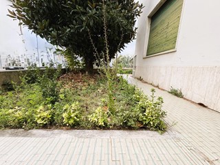 Casa Indipendente in Vendita a Empoli, 395'000€, 180 m², con Box