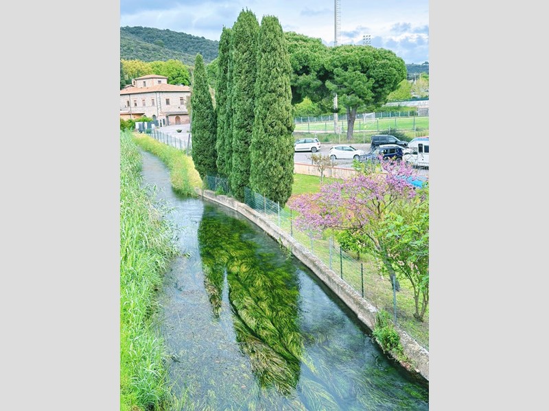 Bilocale in Vendita a Campiglia Marittima, zona Venturina, 115'000&euro;, 48 m², arredato