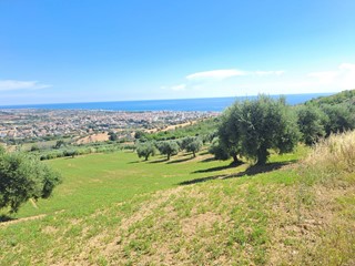 Terreno agricolo in Vendita a Tortoreto, 120'000€, 40000 m²