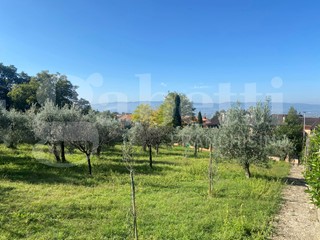 Terreno edificabile in Vendita a Assisi, 78'000€, 1000 m²