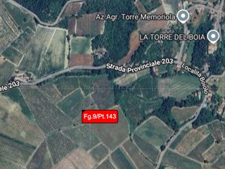 Terreno agricolo in Vendita a Borgoratto Mormorolo, 4'849€, 2819 m²
