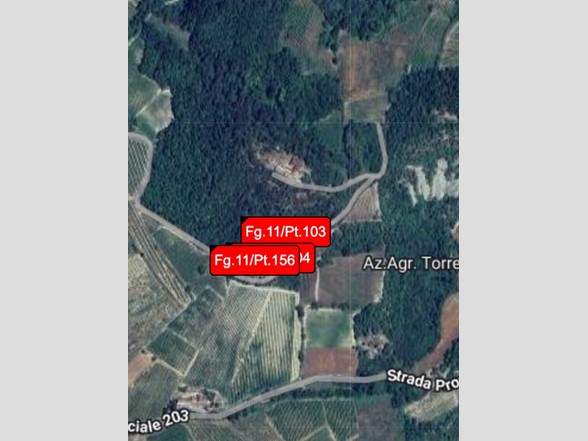 Terreno agricolo in Vendita a Borgoratto Mormorolo, 1'446€, 2803 m²
