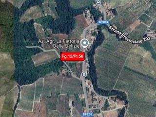 Terreno agricolo in Vendita a Borgoratto Mormorolo, 1'500€, 872 m²