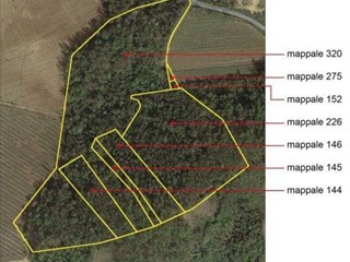 Terreno agricolo in Vendita a Santa Giuletta, 30'699€, 53969 m²