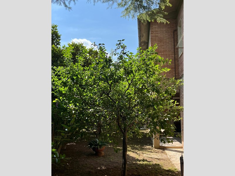 Villa bifamiliare in Vendita a Poggibonsi, 450'000€, 195 m²