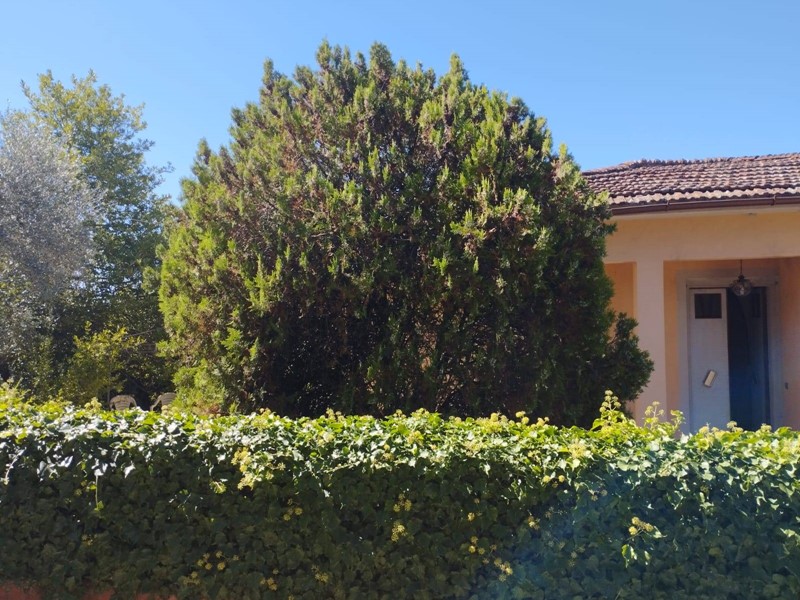 Casa Indipendente in Vendita a Montopoli in Val d'Arno, 225'000€, 105 m²