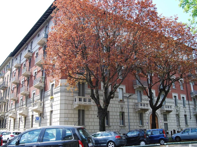 Trilocale in Affitto a Torino, 1'100€, 96 m²