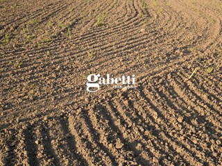 Terreno agricolo in Vendita a Cartura, 26'000€, 5653 m²