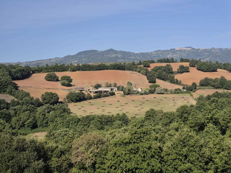 Terreno agricolo in Vendita a Civitella Paganico, 25'000€, 55835 m²