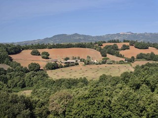 Terreno agricolo in Vendita a Civitella Paganico, 25'000€, 55835 m²