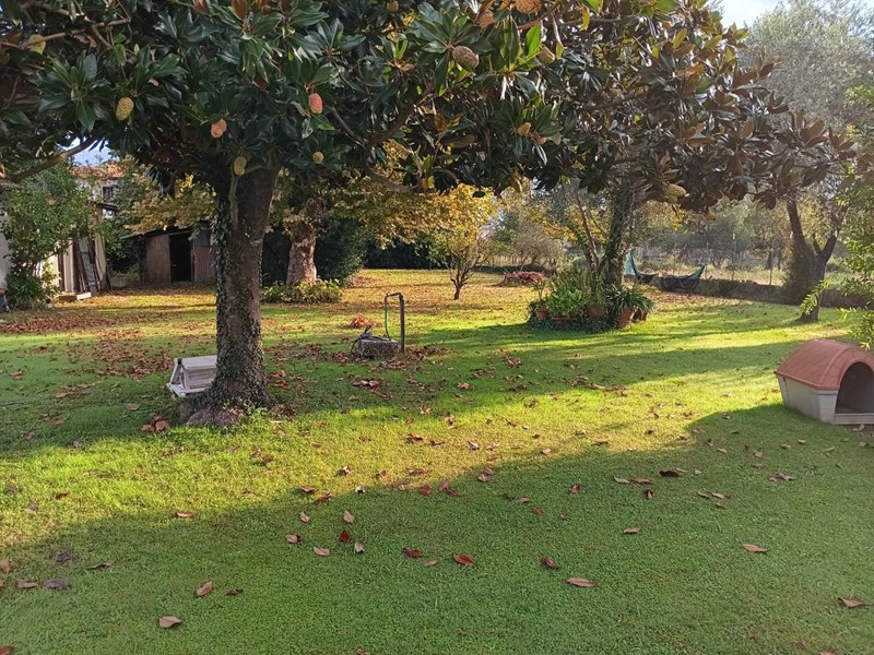 Villa in Vendita a Massa, zona Ronchi, 580'000&euro;, 180 m², arredato