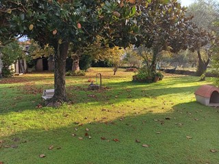 Villa in Vendita a Massa, zona Ronchi, 580'000&euro;, 180 m², arredato