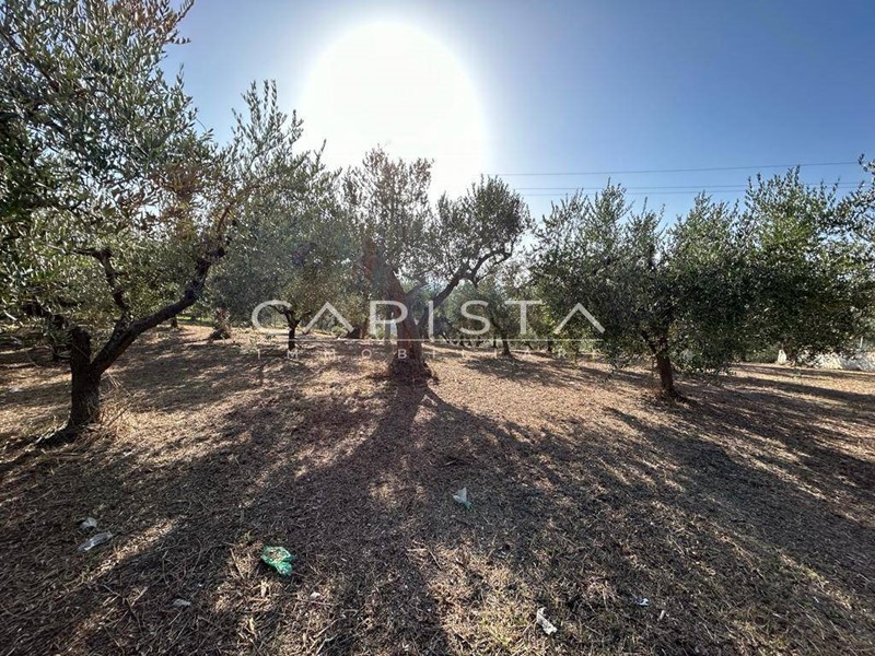 Terreno agricolo in Vendita a San Vito Chietino, 45'000€, 2400 m²