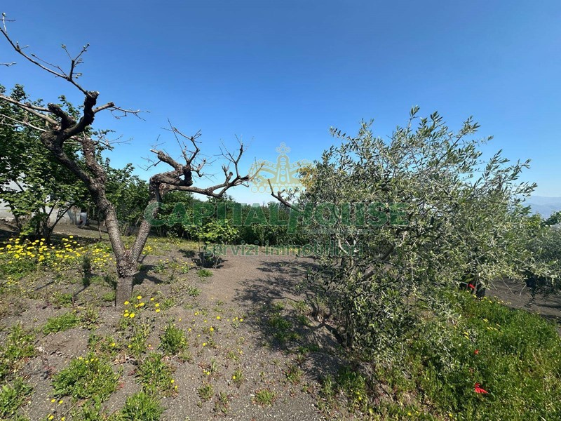 Terreno agricolo in Vendita a San Giuseppe Vesuviano, 23'500€, 3592 m²
