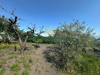 Terreno agricolo in Vendita a San Giuseppe Vesuviano, 23'500€, 3592 m²