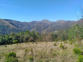 Terreno agricolo in Vendita a Genova, 35'000&euro;, 46000 m²